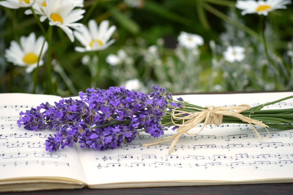 Naturalmente musica in Oasi Smeraldino!