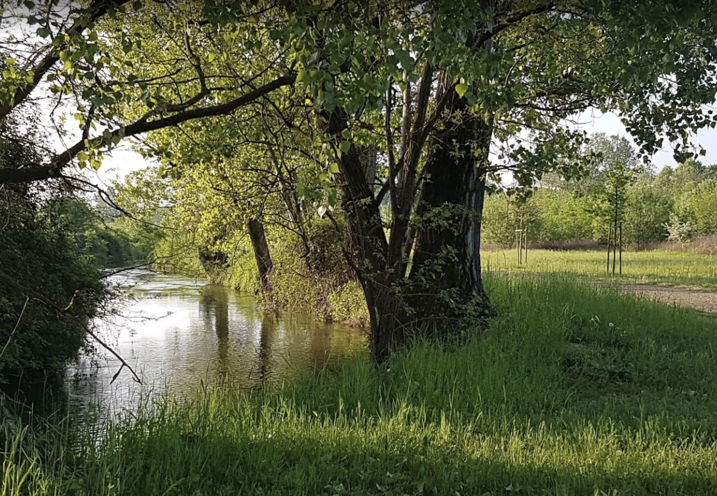 Parco delle Rogge